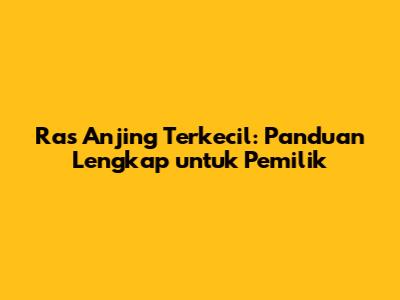 Ras Anjing Terkecil: Panduan Lengkap untuk Pemilik