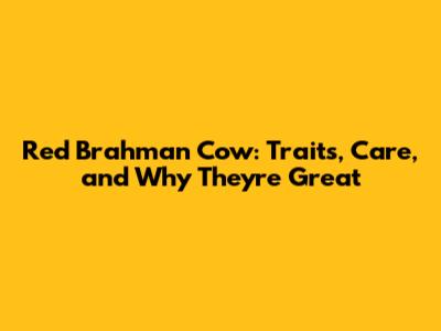 Red Brahman Cow: Traits, Care, and Why They're Great