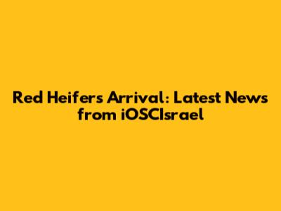 Red Heifer's Arrival: Latest News from iOSCIsrael