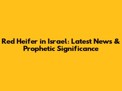 Red Heifer in Israel: Latest News & Prophetic Significance