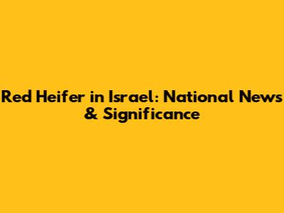 Red Heifer in Israel: National News & Significance