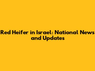 Red Heifer in Israel: National News and Updates