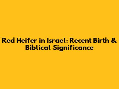 Red Heifer in Israel: Recent Birth & Biblical Significance