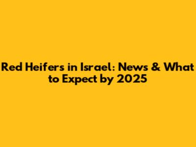 Red Heifers in Israel: News & What to Expect by 2025