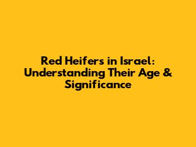 Red Heifers in Israel: Understanding Their Age & Significance