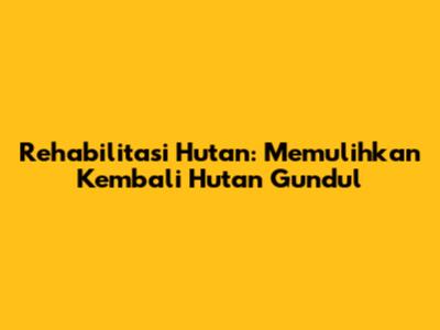 Rehabilitasi Hutan: Memulihkan Kembali Hutan Gundul
