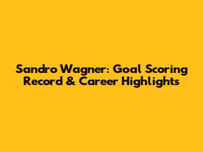 Sandro Wagner: Goal Scoring Record & Career Highlights