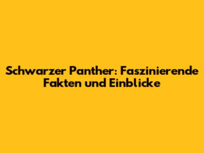 Schwarzer Panther: Faszinierende Fakten und Einblicke