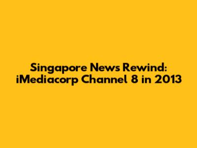 Singapore News Rewind: iMediacorp Channel 8 in 2013