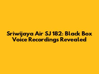 Sriwijaya Air SJ 182: Black Box Voice Recordings Revealed