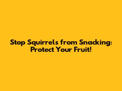 Stop Squirrels from Snacking: Protect Your Fruit!