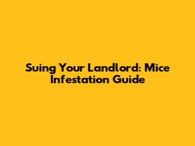 Suing Your Landlord: Mice Infestation Guide