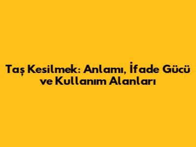 Taş Kesilmek: Anlamı, İfade Gücü ve Kullanım Alanları