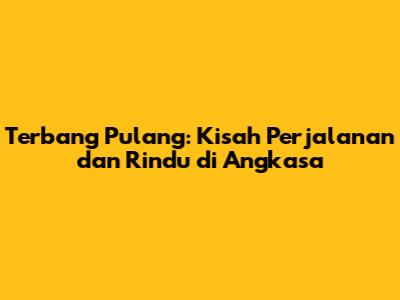 Terbang Pulang: Kisah Perjalanan dan Rindu di Angkasa