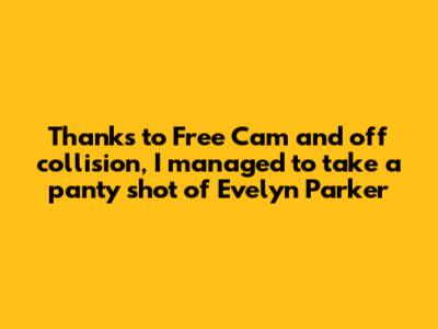 Thanks to Free Cam and off collision, I managed to take a panty shot of Evelyn Parker