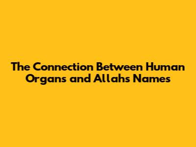 The Connection Between Human Organs and Allah's Names