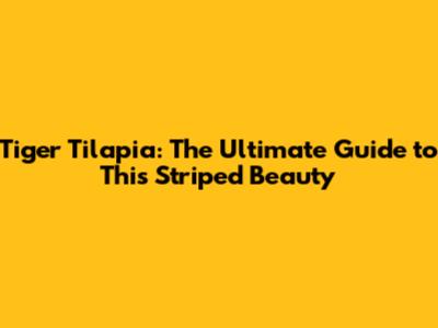Tiger Tilapia: The Ultimate Guide to This Striped Beauty