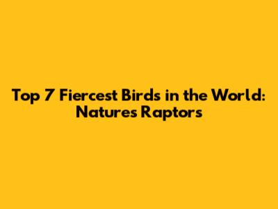 Top 7 Fiercest Birds in the World: Nature's Raptors