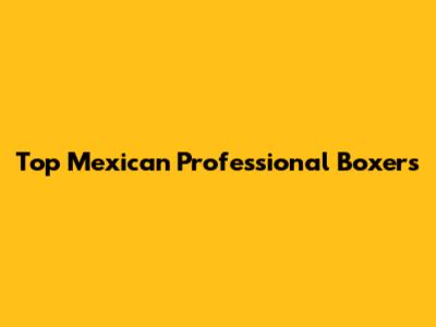 Top Mexican Professional Boxers