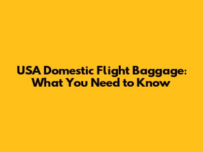 USA Domestic Flight Baggage: What You Need to Know