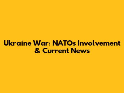Ukraine War: NATO's Involvement & Current News