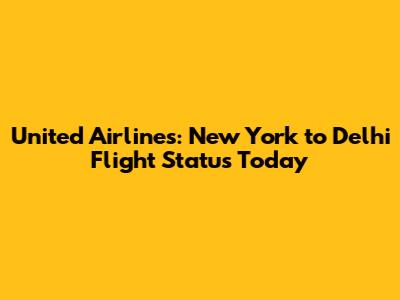 United Airlines: New York to Delhi Flight Status Today