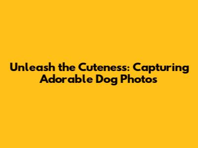 Unleash the Cuteness: Capturing Adorable Dog Photos