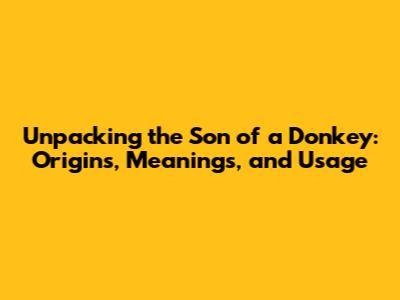 Unpacking the 'Son of a Donkey': Origins, Meanings, and Usage