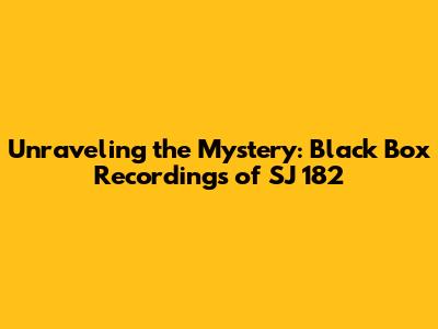 Unraveling the Mystery: Black Box Recordings of SJ 182