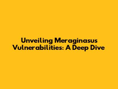 Unveiling Meraginasu's Vulnerabilities: A Deep Dive