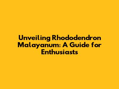 Unveiling Rhododendron Malayanum: A Guide for Enthusiasts