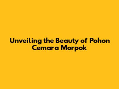 Unveiling the Beauty of Pohon Cemara Morpok