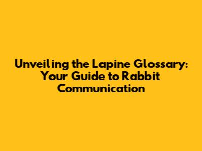 Unveiling the Lapine Glossary: Your Guide to Rabbit Communication