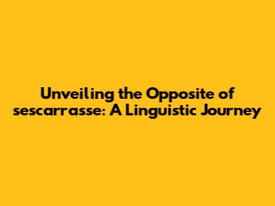 Unveiling the Opposite of 'sescarrasse': A Linguistic Journey
