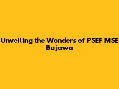 Unveiling the Wonders of PSEF MSE Bajawa