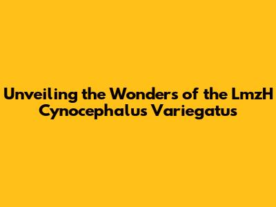 Unveiling the Wonders of the LmzH Cynocephalus Variegatus