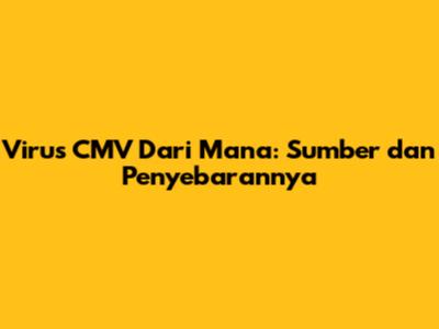Virus CMV Dari Mana: Sumber dan Penyebarannya