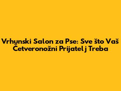 Vrhunski Salon za Pse: Sve što Vaš Četveronožni Prijatelj Treba