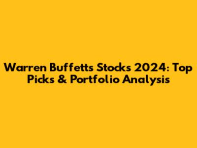 Warren Buffett's Stocks 2024: Top Picks & Portfolio Analysis