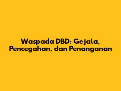 Waspada DBD: Gejala, Pencegahan, dan Penanganan