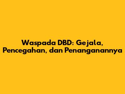 Waspada DBD: Gejala, Pencegahan, dan Penanganannya