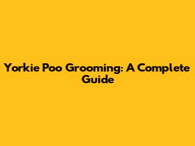 Yorkie Poo Grooming: A Complete Guide