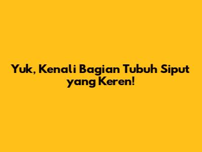 Yuk, Kenali Bagian Tubuh Siput yang Keren!
