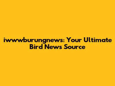 iwwwburungnews: Your Ultimate Bird News Source