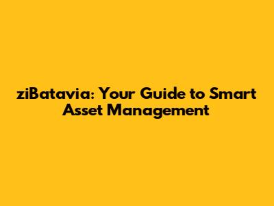 ziBatavia: Your Guide to Smart Asset Management